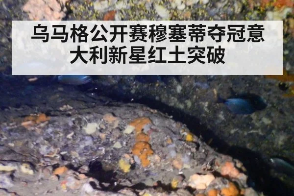乌马格公开赛穆塞蒂夺冠意大利新星红土突破
