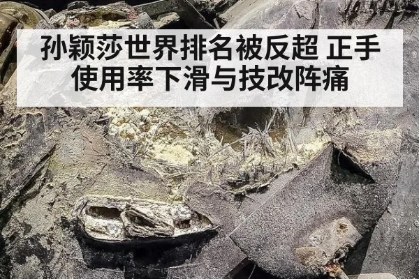 孙颖莎世界排名被反超 正手使用率下滑与技改阵痛