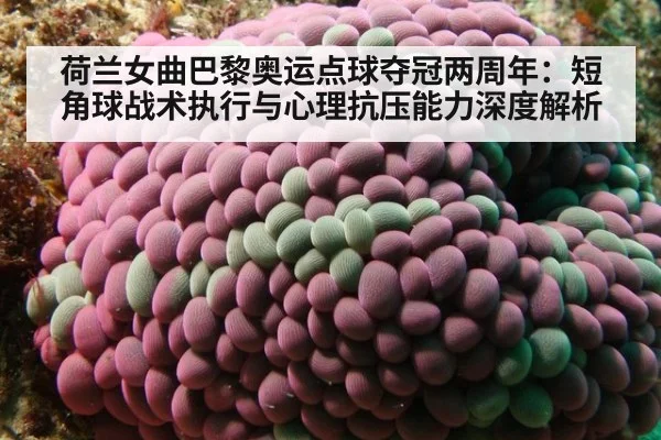 荷兰女曲巴黎奥运点球夺冠两周年：短角球战术执行与心理抗压能力深度解析