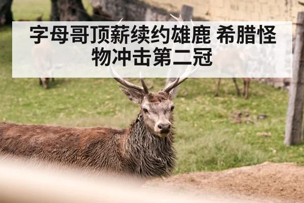 字母哥顶薪续约雄鹿 希腊怪物冲击第二冠