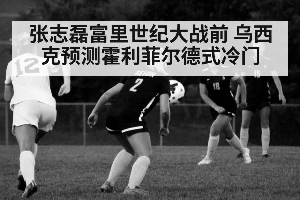 张志磊富里世纪大战前 乌西克预测霍利菲尔德式冷门